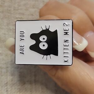 ARE YOU KITTEN ME Cat Pin